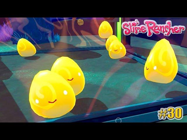 Slime Rancher: КВАНТОВЫЕ СЛАЙМЫ (СЧАСТЛИВАЯ ФЕРМА) 30 серия