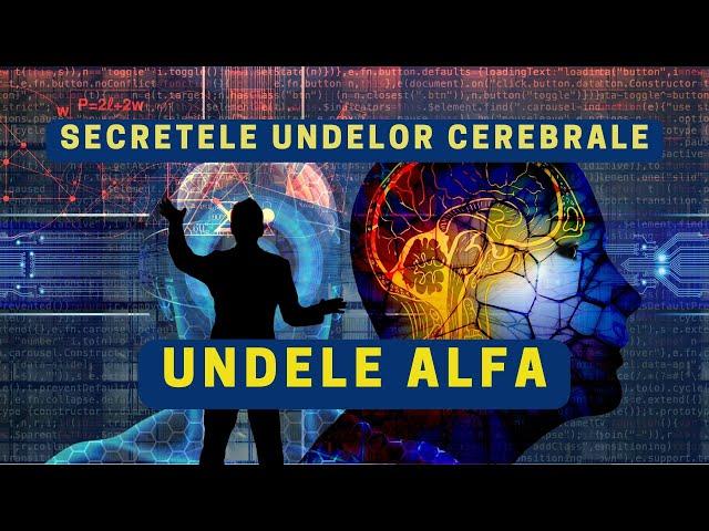 Secretele undelor cerebrale - Undele ALFA