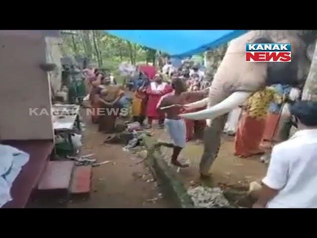 Elephant Pays Tribute To Its Mahout At His Funeral In Kerala