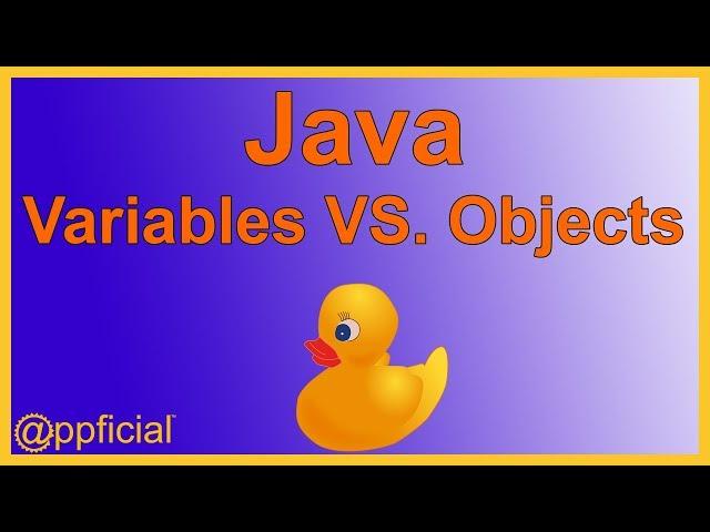 Java Variables VS. Objects - Reference Type Variables VS Primitive Variables - APPFICIAL