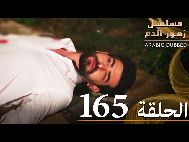 الحلقة 165 | مسلسل زهور الدم | مدبلج بالعربية | Kan Çiçekleri