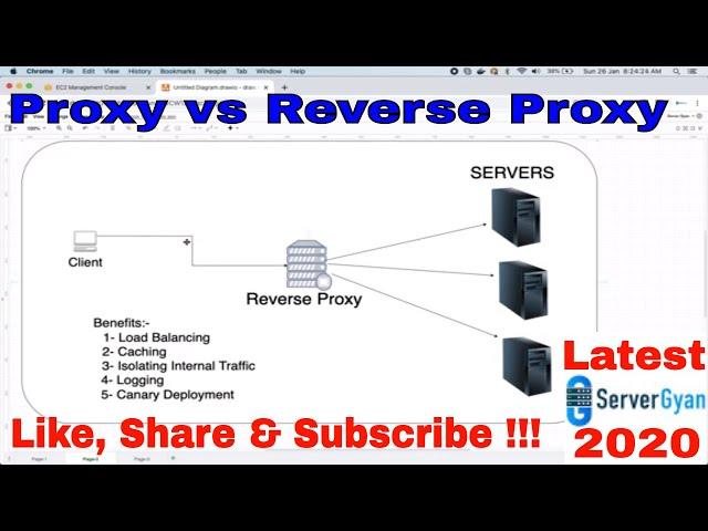 Proxy vs Reverse Proxy with example | proxy used for load balancing