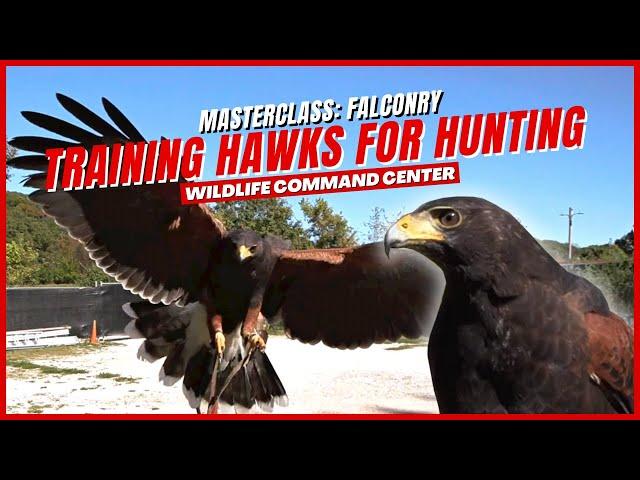 Ready for the Hunt | Wildlife Command Center - Ep. 4