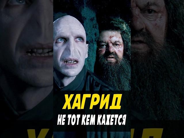 Хагрид агент Волан-де-Морта? #гаррипоттер #кино #harrypotter #поместьесурикат #хагрид #воландеморт