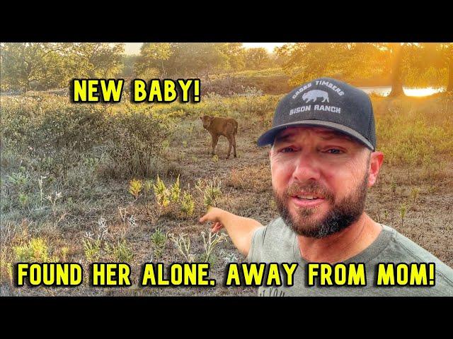 Found Baby Alone! + Truth About Our Business!