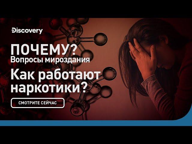 Как работают наркотики | Почему? Вопросы мироздания | Discovery