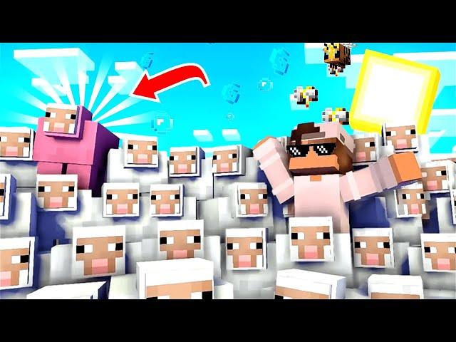 How Rare is it to Find Pink Sheep in Minecraft!