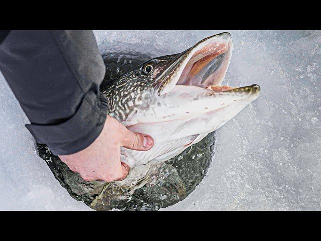 Ice Fishing Dream Trip