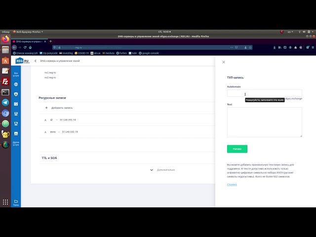 #54. Как добавить txt запись для домена в reg.ru