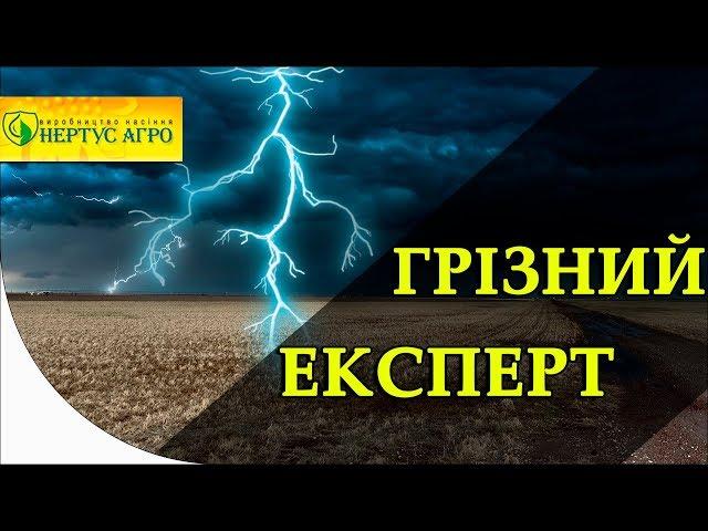 Грізний Експерт у боротьбі з бур'янами від Нертус