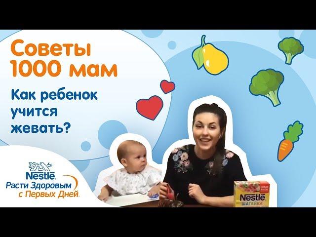 Как ребенок учится жевать?