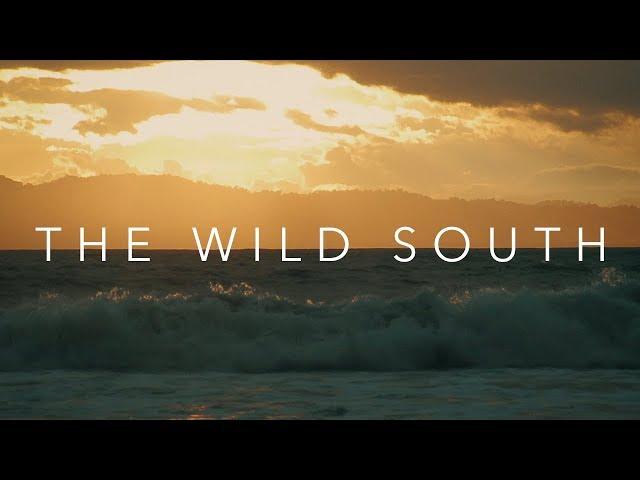 THE WILD SOUTH - Orion Eshel Film