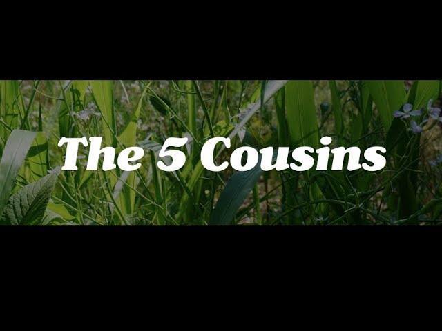 The Five Cousins, a Permaculture Plant Guild by Matt Powers