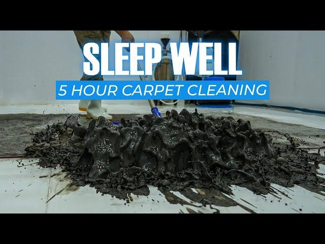 5 Hour Carpet Cleaning Helps You Sleep Well - Rug Cleaning - Stress Relief - ASMR Sleep