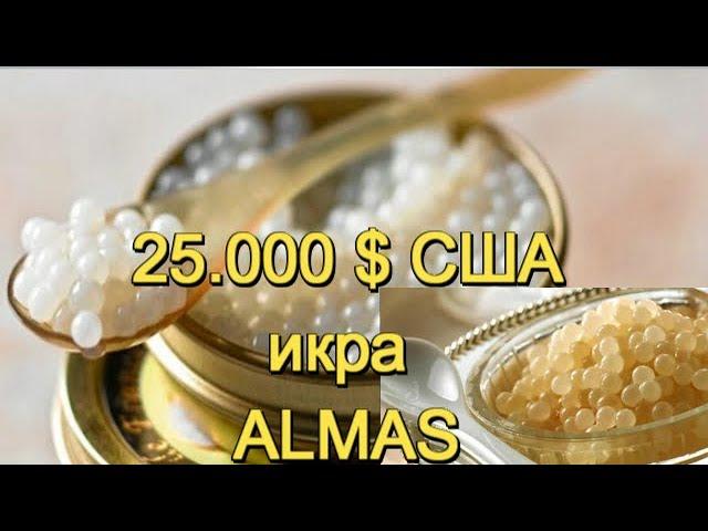 САМАЯ ДОРОГАЯ ИКРА В МИРЕ «ALMAS»