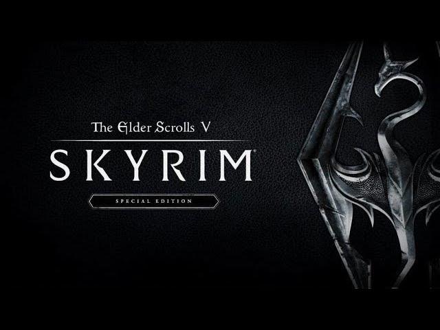 Skyrim Special Edition Steam Вылетает при запуске. Нужна помощь!