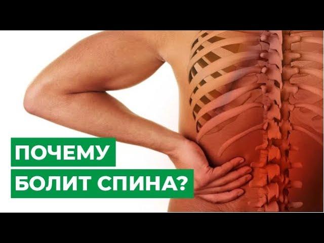 Почему болит спина?