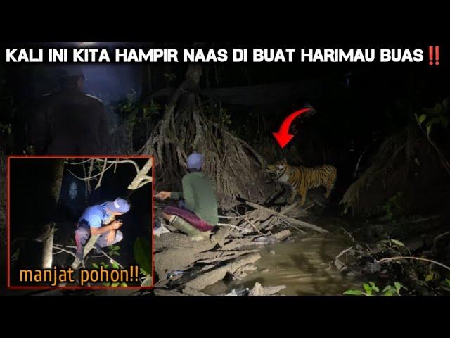 CAMPING HOROR HAMPIR NAAS DI BUAT HARIMAU SUMATRA SAMPAI HARUS MANJAT POHON JERA NGINEP DI SUNGAI!