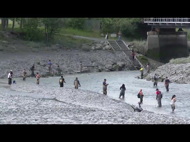 Fishing Report: 191K Sockeye hit Kenai River in 1 day, while cohos are coming