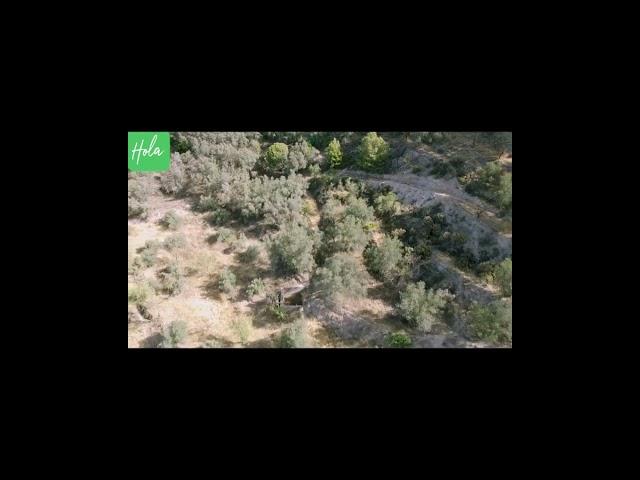 Finca Tesoro  Finca for sale in the Alpujarra with Hola Properties