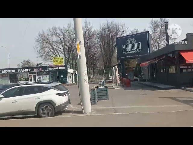 Весна в Ташкенте. 6 марта. Дорога до Рабочего городка.