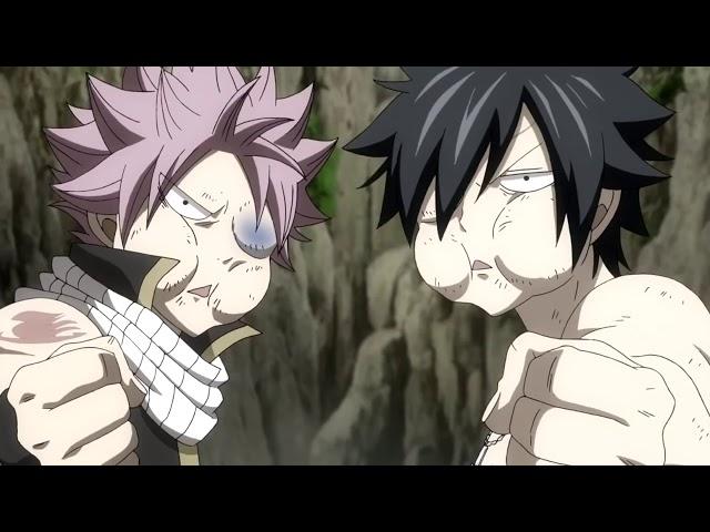 Fairy Tail   Natsu & Gray Punch Erza By Accident