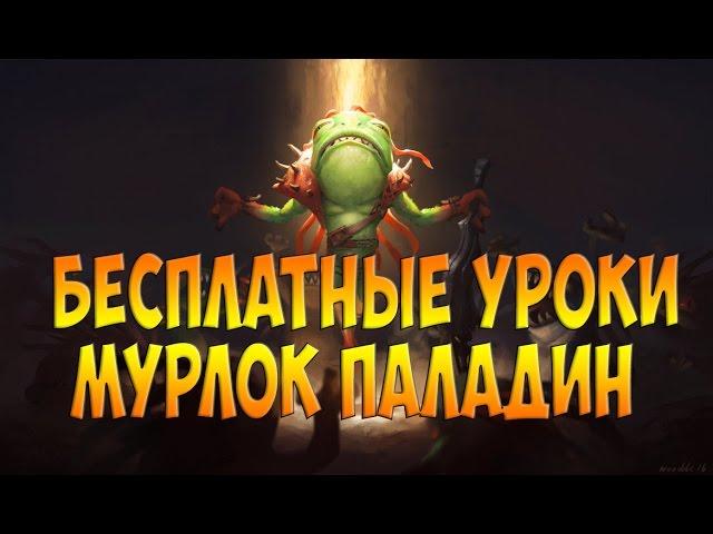 МУРЛОК ПАЛАДИН! КОРОЛЬ МЕТЫ! Играй правильно.