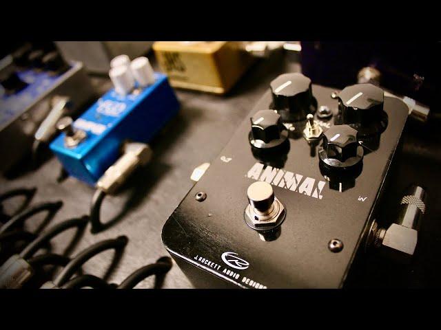 Rockett Pedals Animal Demo by Richard Watson