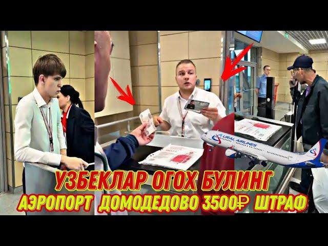 АЭРОПОРТ ДОМОДЕДОВО МИГРАНТЛАР ЯНА ХОР БУЛМОКДА #россия #тезкор