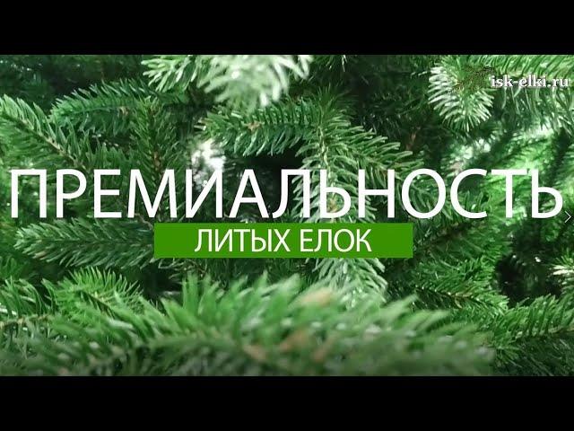 Особенности елей типа "Премиум" | isk-elki.ru