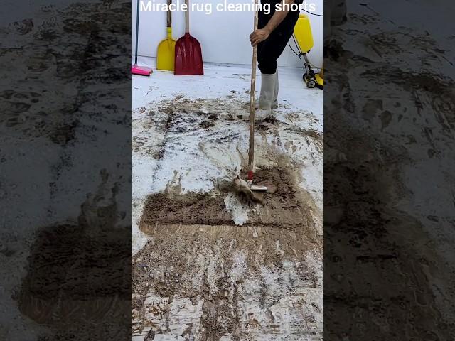 YouTube's most satisfying carpet cleaning process ️‍