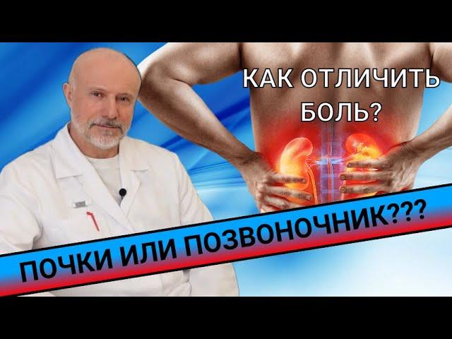 КАК ОТЛИЧИТЬ БОЛЬ В ПОЗВОНОЧНИКЕ ОТ БОЛИ В ПОЧКАХ???