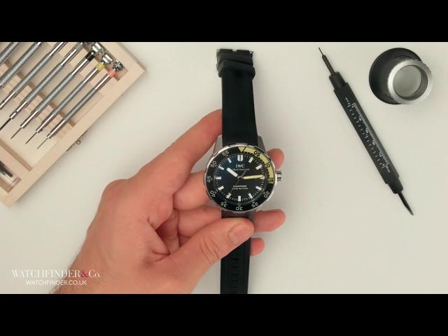 Unbelievable! How to Use Your Watch to Find North - Watchfinder & Co.