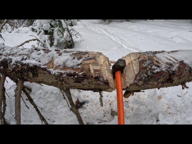 Cut old pine log with a chopper: second cut