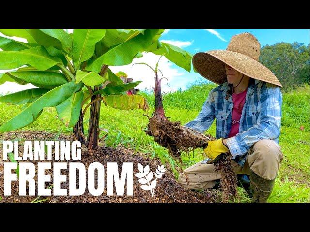 WE'RE PLANTING FREEDOM! | SDA COUNTRY LIVING | GOD RELIANCE