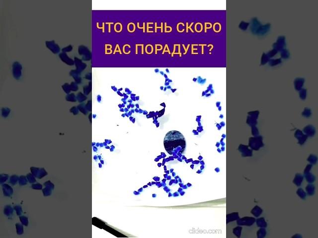 ЭФИР ВОСКА️ЧТО ПОРАДУЕТ ВАС СО ДНЯ НА ДЕНЬ? #гадание #видео #shortsvideo #гаданиенавоске