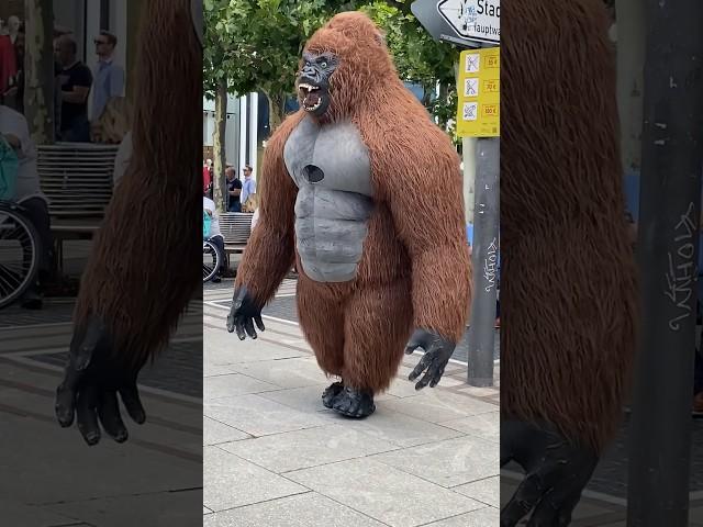 King Kong works in Frankfurt after Career End: Big Gorilla in german city.