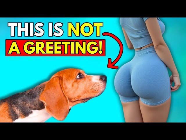 When Dogs Sniff Your Butt, It’s NOT What You Think!  | Dog Cues