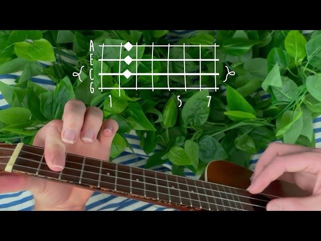 salamander7125 - petal falls // ukulele tutorial