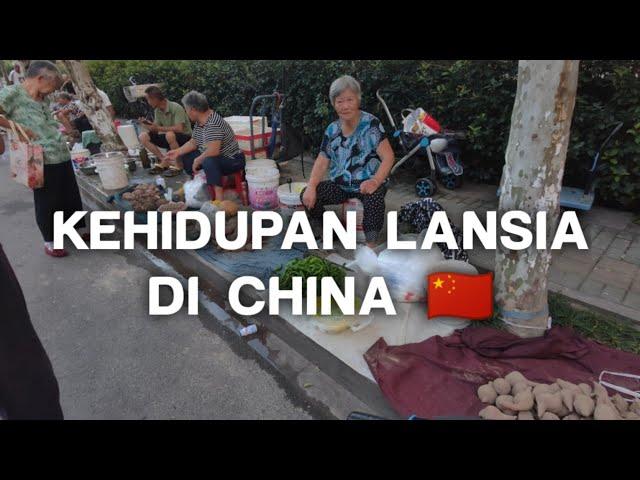 TKW CHINA ‼️ KEHIDUPAN PEDAGANG HASIL PANEN PETANI CHINA