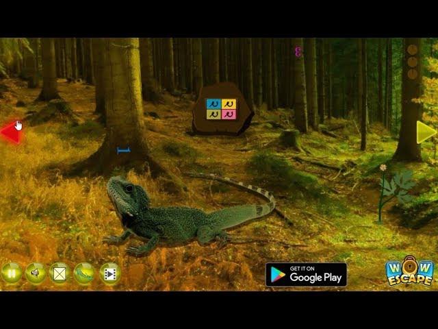 Escape from Lizard Forest walkthrough Wowescape.