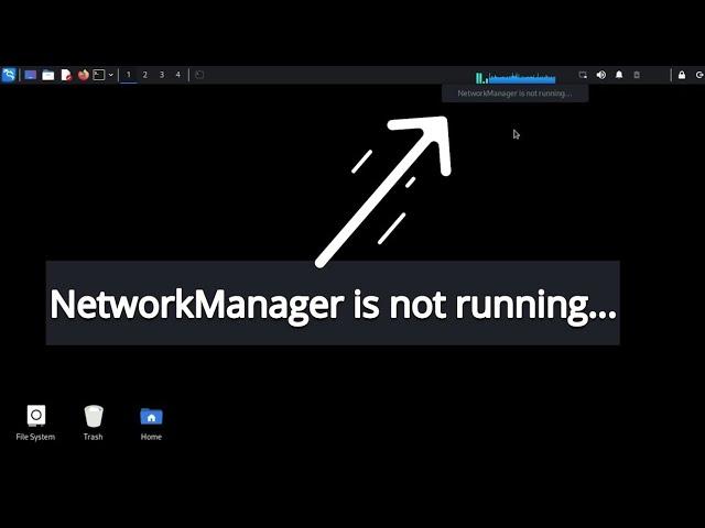 Kali Linux, How to fix Network Manager is not running