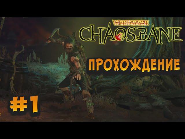 Отличная игра и это моё мнение о игре Warhammer: Chaosbane (Прохождение) #1