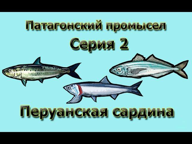 Русская Рыбалка 3.99 (Russian Fishing) Патагонский промысел 2 - Перуанская сардина