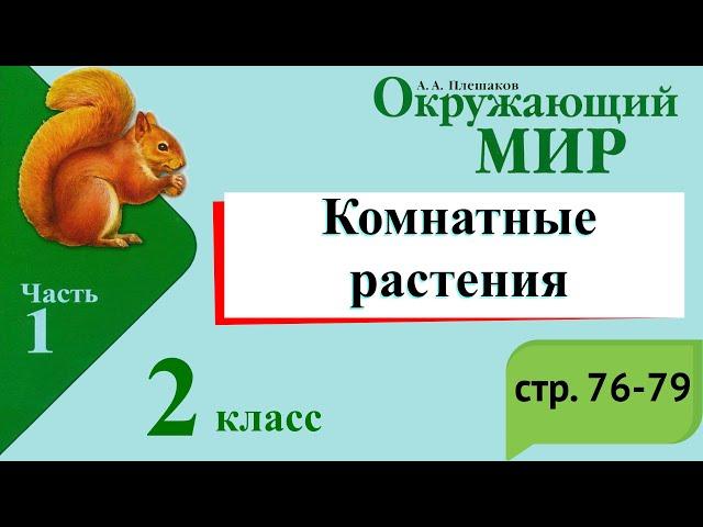 Комнатные растения. Окружающий мир. 2 класс, 1 часть. Учебник А. Плешаков стр. 76-79