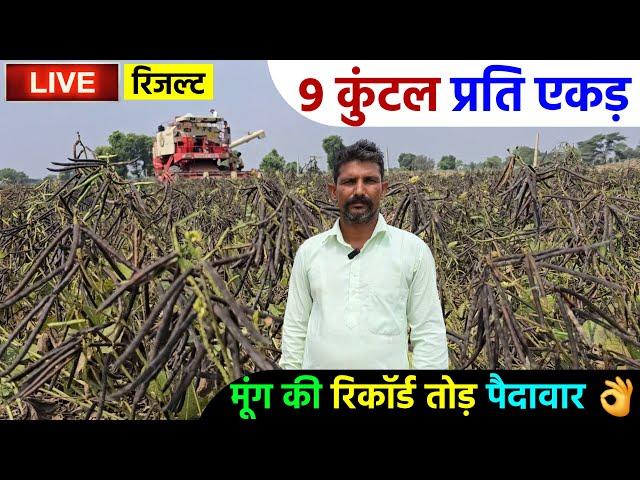 मूंग की 9 कुंटल प्रति एकड़ पैदावार | किसान ने पिछला रिकॉर्ड तोड़ा | IFSA Banshi Gold Moong 