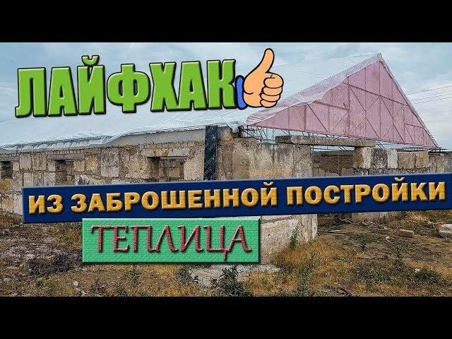  ЛАЙФХАК для БИЗНЕСА - круглогодичная фермерская теплица из заброшенной постройки