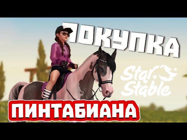 Покупка пинтабиана 3-го поколения!||она лучше чем араб?!||Star Stable Online