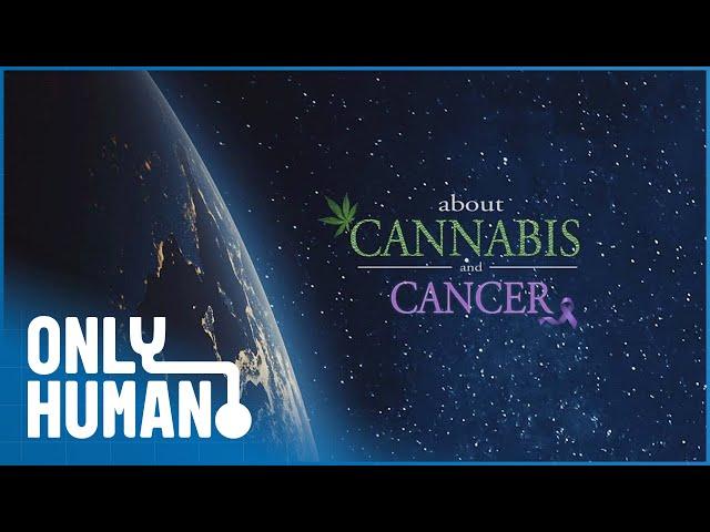 About Cannabis & Cancer (2019) | Treating Illness With Marijuana: Does It Work? | Only Human