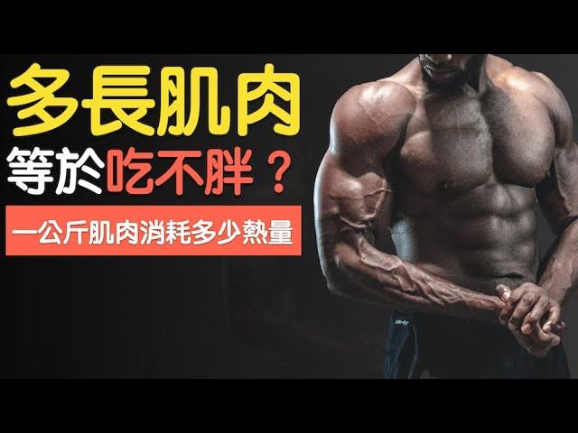 又被打臉！增加一公斤肌肉可以多消耗多少熱量？